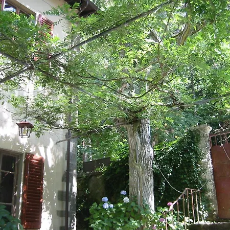 Villa Villino Serena Di Lapigio Firenze *