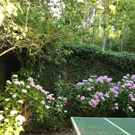 Villino Serena Di Lapigio Firenze Villa *